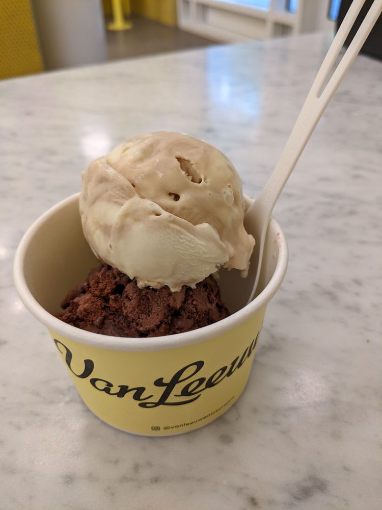 week van leeuwen ice cream montrose photo